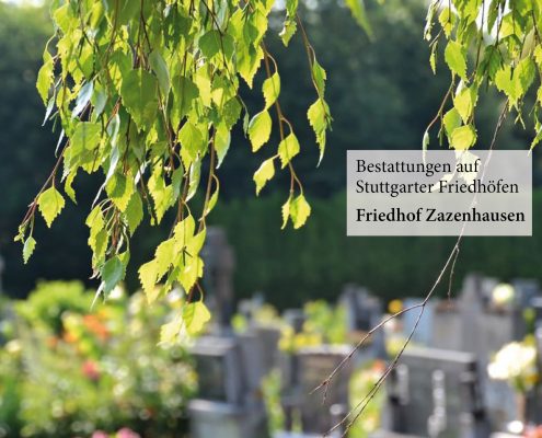 Friedhof Zazenhausen_Fulrich-Niederberger_123rf-Martina Vaculikova