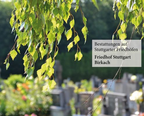 Friedhof Stuttgart Birkach_Fulrich-Niederberger_123rf-Martina Vaculikova
