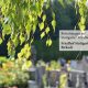 Friedhof Stuttgart Birkach_Fulrich-Niederberger_123rf-Martina Vaculikova