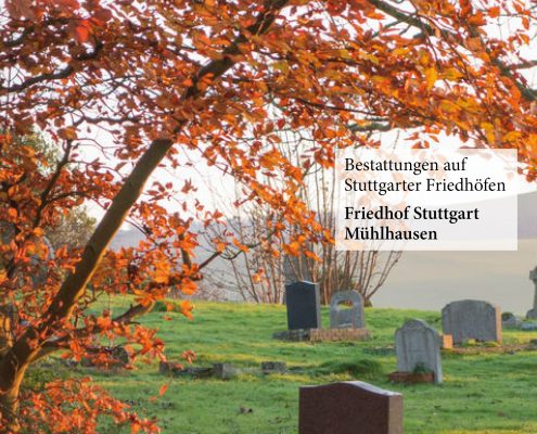 Friedhof Stuttgart Mühlhausen_Fulrich-Niederberger_123rf-Petar Paunchev
