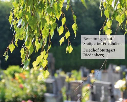 Friedhof Stuttgart Riedenberg_Fulrich-Niederberger_123rf-Martina Vaculikova